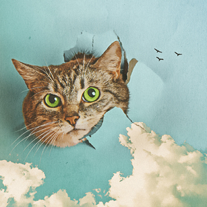 退休老头肉吊又粗又长
