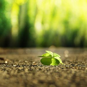 退休老头肉吊又粗又长
